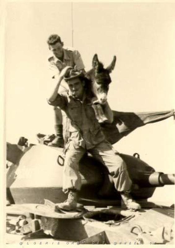 ANIMAUX 4.jpg